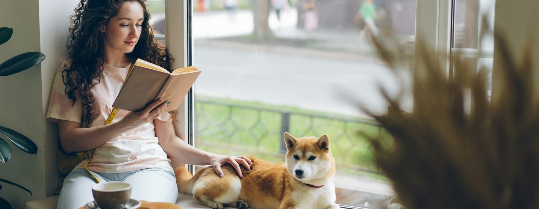 a woman reading a book in a window with a dog